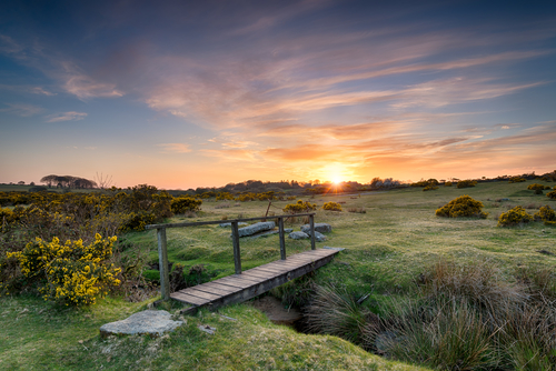 a bridge at twilight